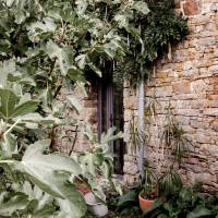 Laurent DOURRIEU - Horchamp